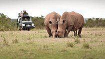 3Days Solio Ranch & Aberdares National Park Luxury Safari on Jeep