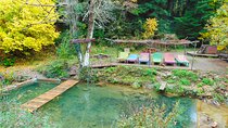 Private Day Tour From Athens to Pavliani Forest Park Trek