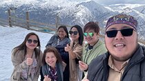 Tashkent Mountain Tour, Amirsoy, Chimgan, Charvak lake