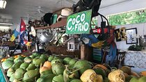 Little Havana French Gourmet Guided Tour