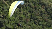 Paragliding Over Guacaica Jungle and Complete Coffee from Guatape