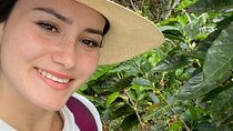 BILINGUE Touristic@ Private / PERSONALIZED@ Guide in the Coffee Axis