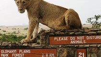 Nairobi Full Day Adventure Tour with Professional Driver Guide 
