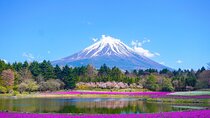 Tokyo: Customized Mt. Fuji & Hakone Sightseeing Private Day Trip 