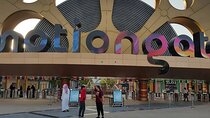 Dubai Parks and Resorts Private Tour with Pickup & Drop-off