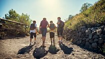 Naples: Tour of Mt Vesuvius and Pompeii w/ Lunch & Wine tasting