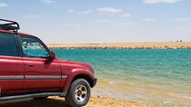 Fayoum Oasis Adventure 4WD Desert Safari with Traditional Lunch 