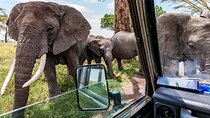 11 Days Best Kenya Budget Camping Safari on 4x4 Jeep