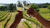 Full-Day Tour of Algarve Wineries from Albufeira