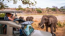 7 Days Taste of Kenya Safari Adventure Budget Package on 4x4 Jeep