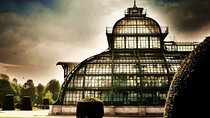 Unforgettable Family Walking tour in Vienna