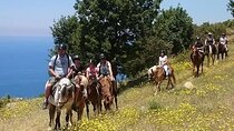 3 Hours Horse Back Riding Alanya