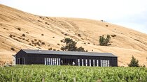 Waipara Valley Wine Region and Hanmer Springs All Day Tour