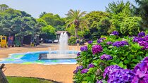 Jeju East Hydrangea Tour with UNESCO site