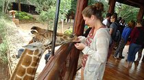 Giraffe Center Half Day Trip from Nairobi
