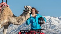 Quad Bike and Camel Ride in Marrakech