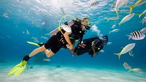 Scuba Diving Sea Trip with Lunch and Transfer from Hurghada 