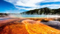 Grand Teton, Yellowstone & Salt Lake City 3 Day Tour