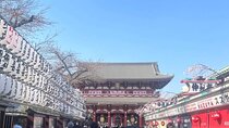 First-Time in Tokyo? Experience the Best with Our Private Tour!
