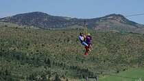Zip-lining in Cape Town - Based at the Foot of the Table Mountain