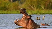 Small Group Tour to Nairobi National Park World Wildlife Capital