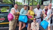 Shared Full Day Guided Safari Tour Visit to Kruger National Park 