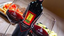 Cellar tour, Tasting of 6 wines, dish combined typical products 