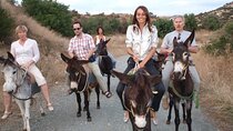 Alanya Donkey Safari and Village Tour with Lunch and Transfer