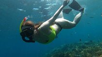 Bali Blue Lagoon Snorkeling, Tirta Gangga and Tenganan Village 