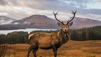 Private Isle of Skye Tour