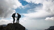 Mexico City Hike: Conquer the Ajusco National Park 