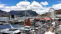 Cape Point and Penguins Full Day Tour