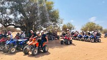 Quads & Buggy Adventure
