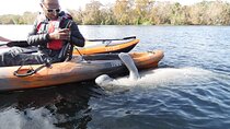 Small Group Manatee Discovery Kayak Tour near Orlando