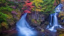 Nikko Shrine Day Tour from Tokyo or Shinjuku