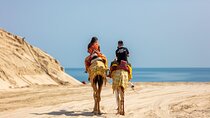 Al Majles Resort Day Pass
