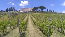 Private tasting of wines and oil to discover Lucca Ducale