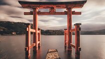 Hakone Full Customized Private Tour with English Speaking Driver