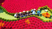 Hanoi Incense Village and Train Street Half Day Private Tour
