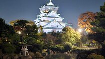 Discover the Hidden Gem of Osaka's Private Walking Tour