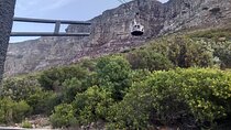 Table Mountain Cable Car with Kirstenbosch Garden Day Tour