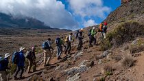 7 Days Mount Kilimanjaro Climbing Machame Route: