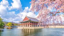Seoul’s Full-Day Royal and Cultural Tour