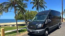 Kona Cruise Ship Excursion Hapuna Beach Day & NHS