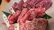 Osaka Omotenashi Fancy Dinner and Japanese Alcohol Bar Experience