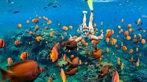 Tiran Island Snorkeling Adventure in Sharm El-Sheikh 