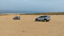 Private Small Sahara Experience Tour with Local Berber Lunch