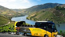 Douro Valley and Wine Day Trip from Porto with Cruise