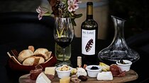 Guided tour and tasting of 4 wines at Viñedo Dos Búhos