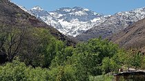 Atlas Mountains Ourika Valley waterfalls Day trip from Marrakech 